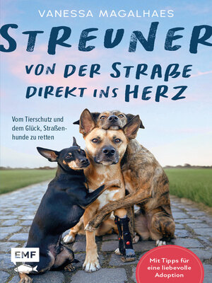 cover image of Streuner--von der Straße direkt ins Herz